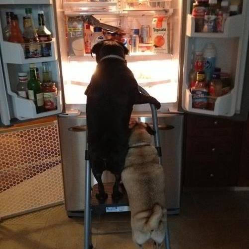 Meet your Posher, Joanne